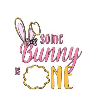 Some Bunny is One Family Birthday t-shirts