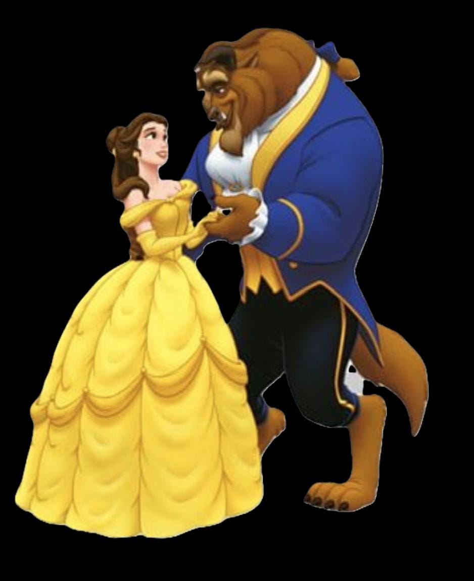 Beauty and the Beast t-shirt-youth