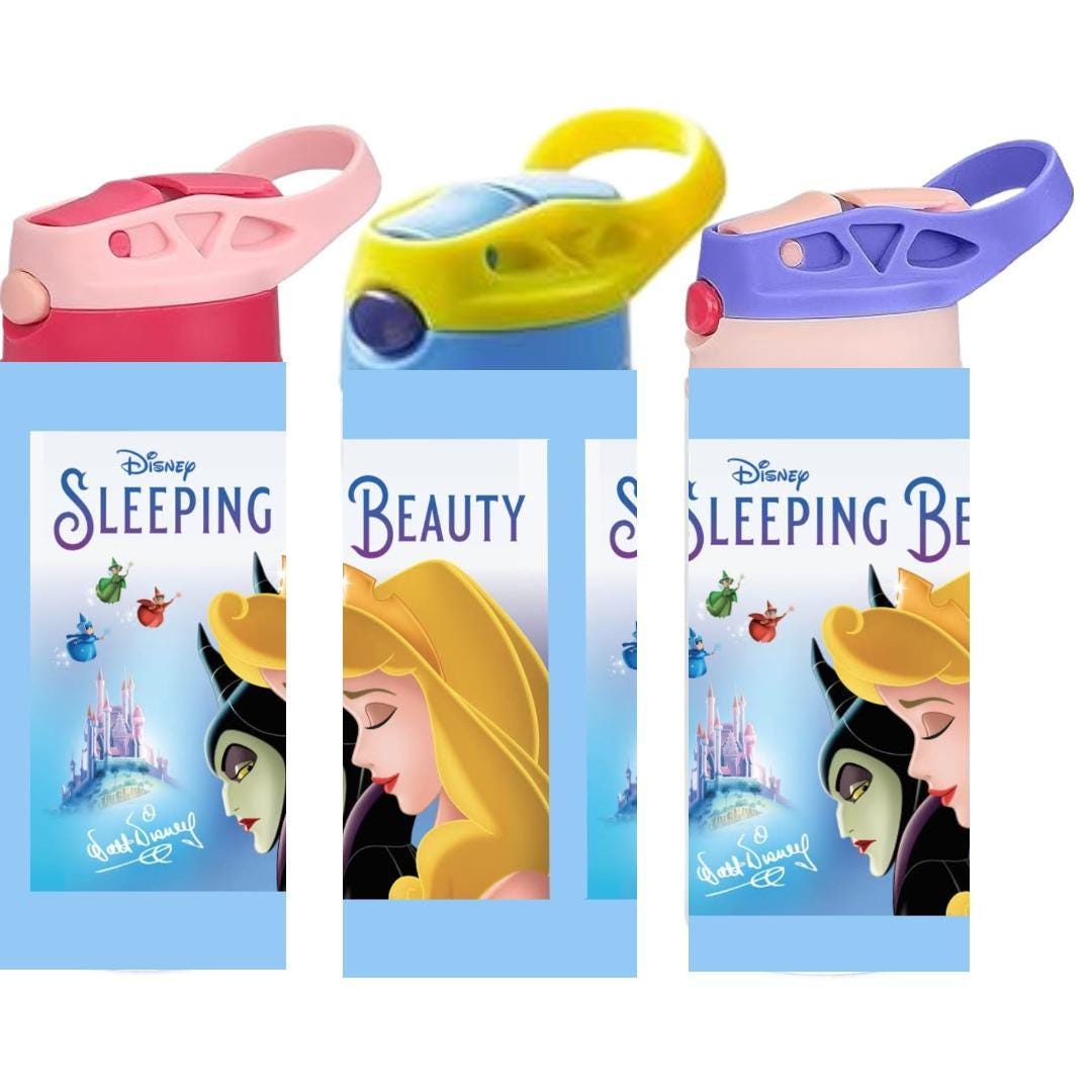 Sleeping Beauty 12 oz toddler sippy cup