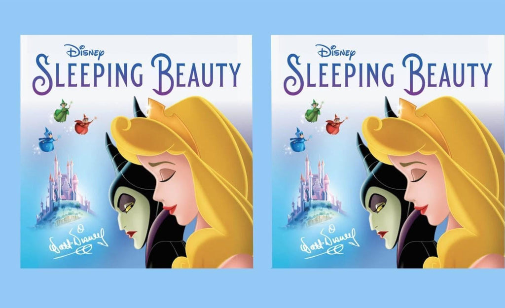 Sleeping Beauty 12 oz toddler sippy cup (Copy)