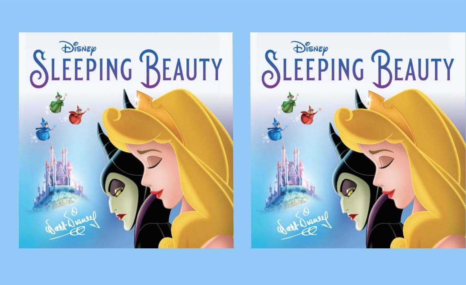 Sleeping Beauty 12 oz toddler sippy cup (Copy)