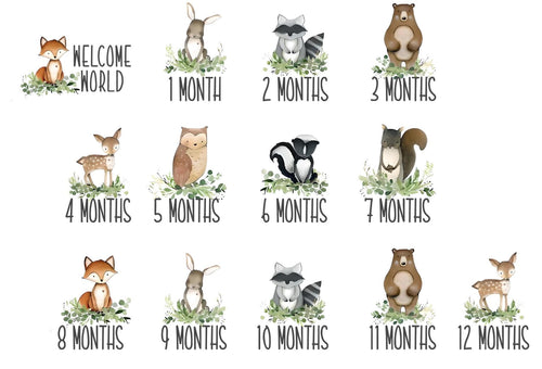 Baby month milestone discs with canvas pouch