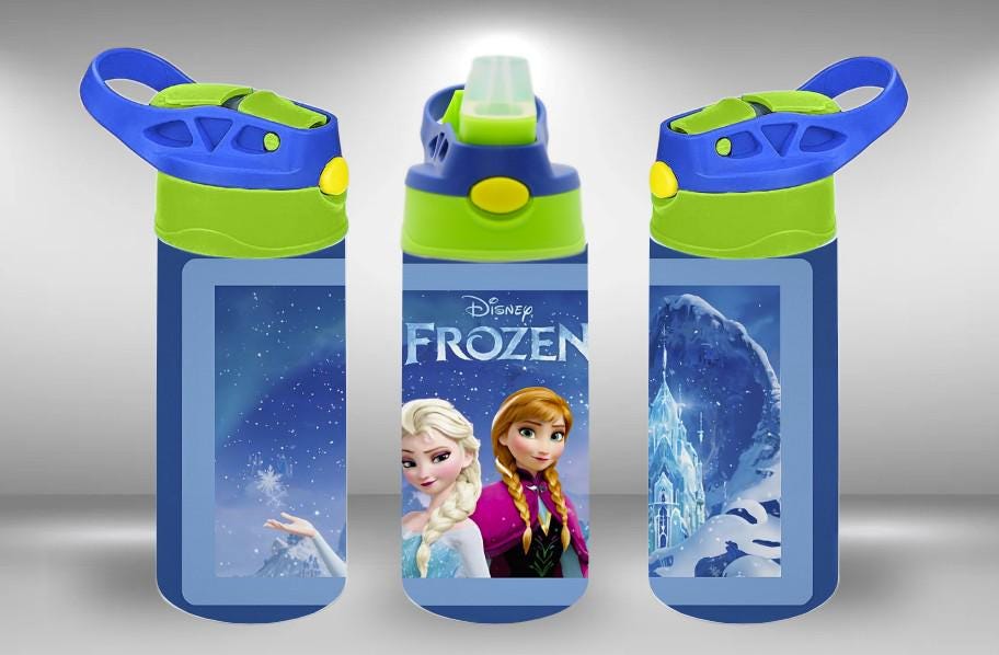 Disney Frozen Kids Water Bottle – Elsa & Anna sippy cup
